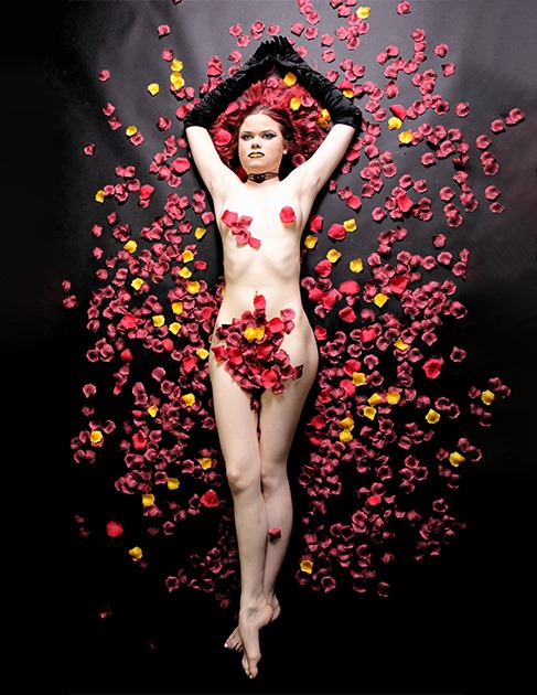 rose-petal pose, aesthetic improvement, labia reduction surgery, orland park